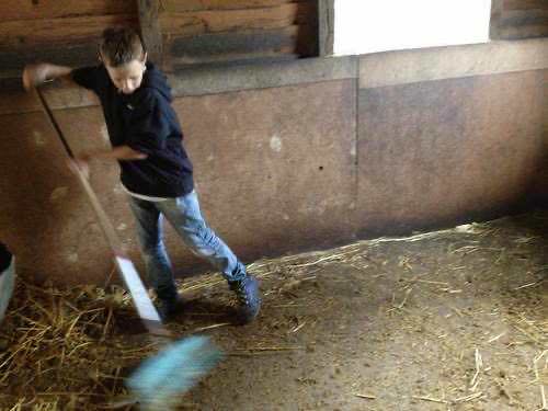 Stacks Image 749790